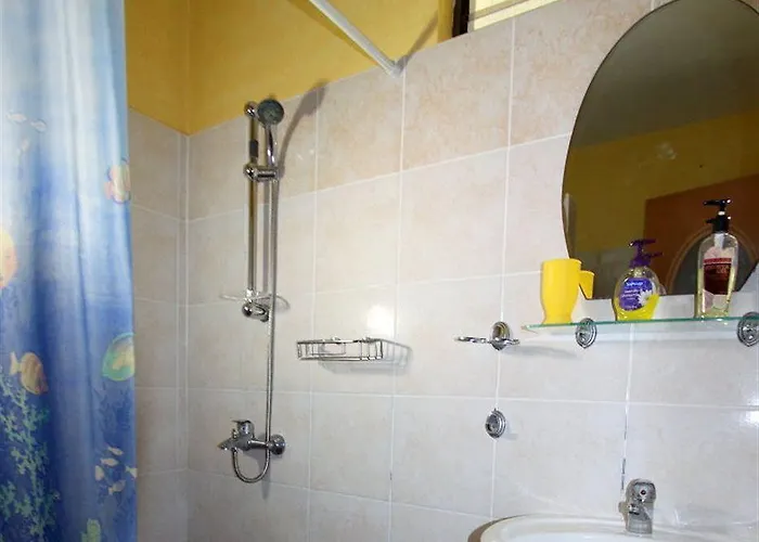 Parrot Paradise Boljoon