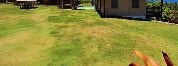 Resort Parrot Paradise