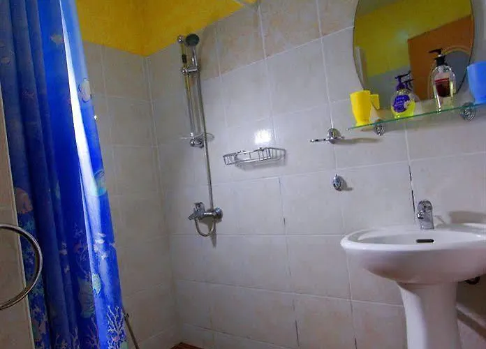 Parrot Paradise 3*