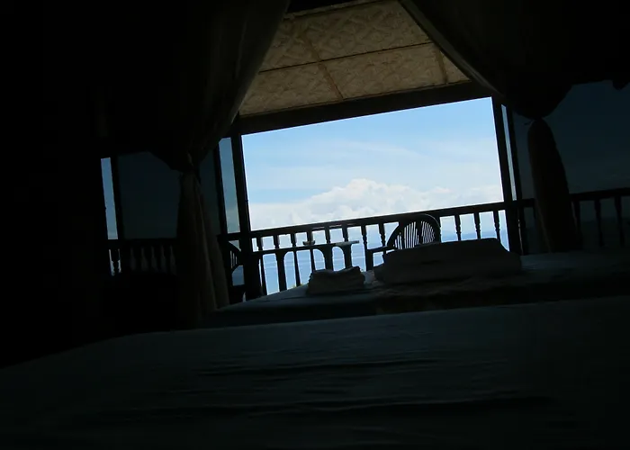 Resort Parrot Paradise 3*